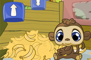 猴子香蕉大肚皮小游戏