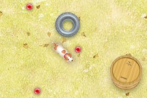 宠物宝贝小游戏