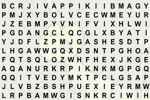 昆虫搜索单词小游戏