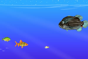 深海鱼吃鱼小游戏