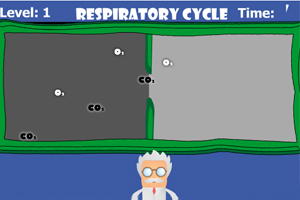 呼吸的过程小游戏
