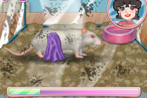 饲养小白鼠小游戏