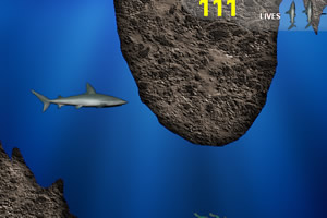 深海鲨鱼小游戏
