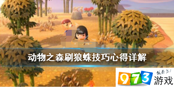 集合啦動物森友會狼蛛怎么刷 狼蛛捕捉技巧攻略