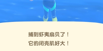 集合啦動物森友會蝦夷扇貝怎么得 蝦夷扇貝獲取方法