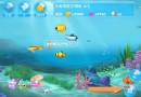 口袋水族箱怎么玩 新手快速入門攻略