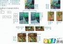 QQ三國(guó)2018行腳獎(jiǎng)勵(lì)表