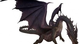 怪物猎人世界黑龙弱的属性是什么 黑龙属性弱点介绍