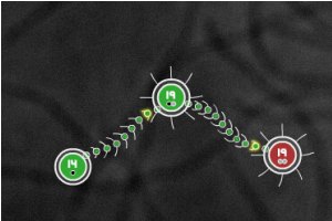 细菌战争小游戏