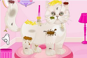 高贵的波斯猫小游戏