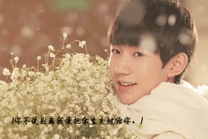 王源：笙落繁花盛开小游戏