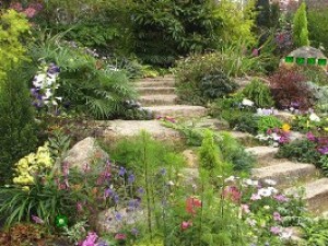 解救鸭子小游戏