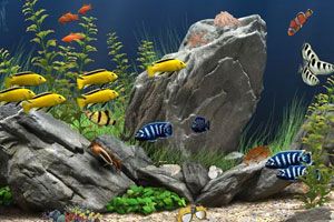 深海寻宝小游戏