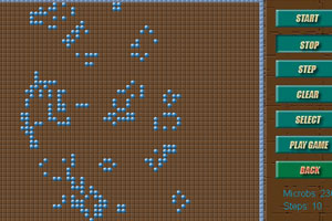 微生物的繁衍小游戏