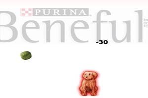 狗狗接食物小游戏