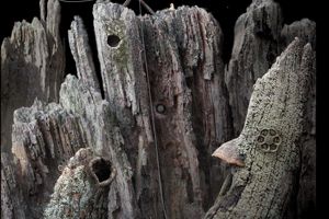 新奇世界小游戏