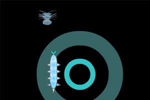 星空贪吃蛇小游戏