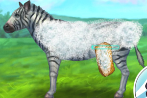 照顾小斑马小游戏