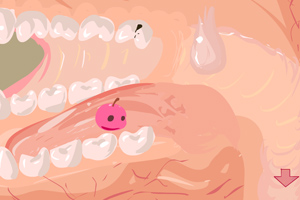 消化道大冒险小游戏