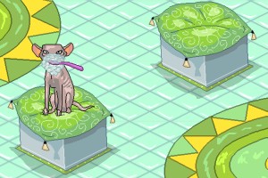 猫咪美容店小游戏