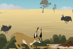 狞猫捕鸟小游戏