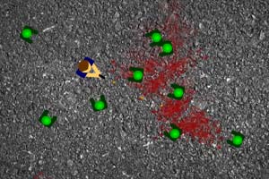 消灭僵尸群小游戏