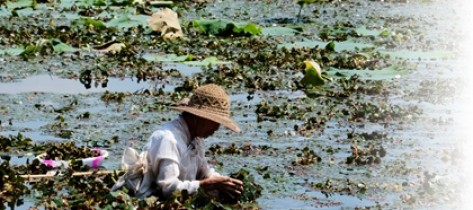 本地新闻软件大全软件