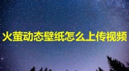 火萤动态壁纸怎么上传视频 火萤动态壁纸app上传视频壁纸教程