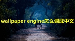 wallpaper engine怎么调成中文 wallpaper engine设置中文教程