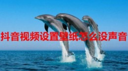 抖音视频设置壁纸怎么没声音 抖音视频设置壁纸声音开启方法