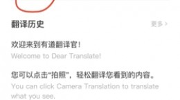 有道翻译官怎么屏幕翻译 苹果手机屏幕翻译方法介绍